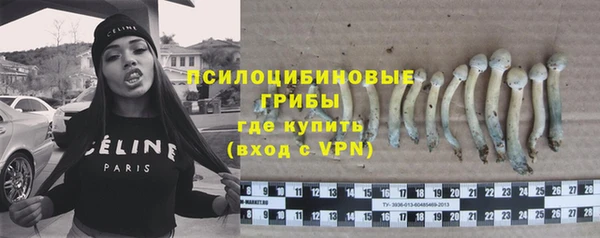 дмт Протвино