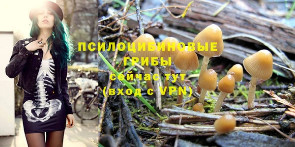 мдпв Бородино