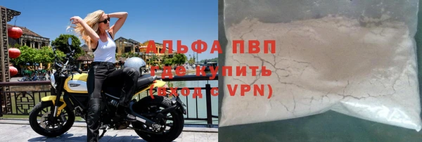 прущие грибы Приозерск