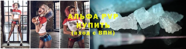 мдпв Бородино