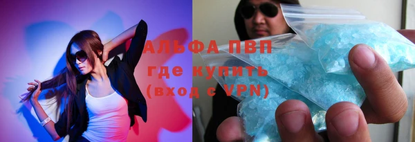 мдпв Бородино