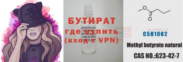 мдпв Бородино
