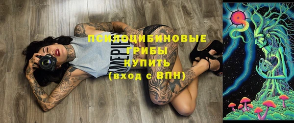мдпв Бородино