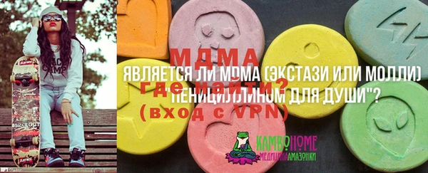 мдпв Бородино