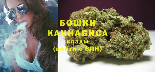 мдпв Бородино